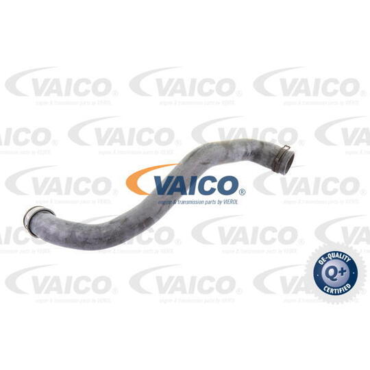 V30-1913 - Radiator Hose 