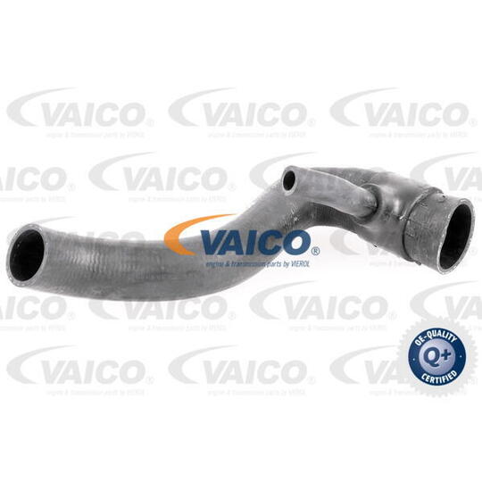 V30-1951 - Radiator Hose 