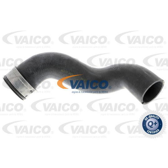 V30-2917 - Radiator Hose 