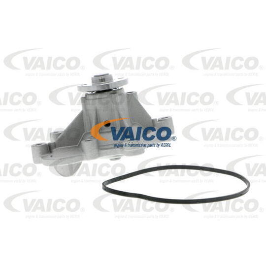 V30-50053 - Water pump 