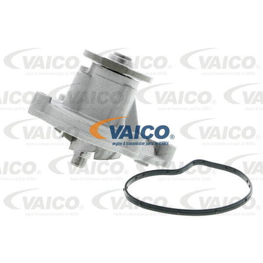 V30-50056 - Water pump 
