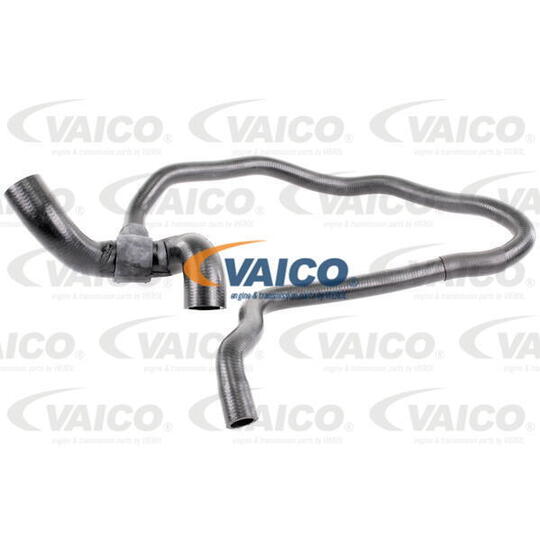 V40-1164 - Radiator Hose 