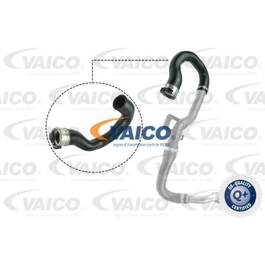 V40-1516 - Charger Intake Hose 