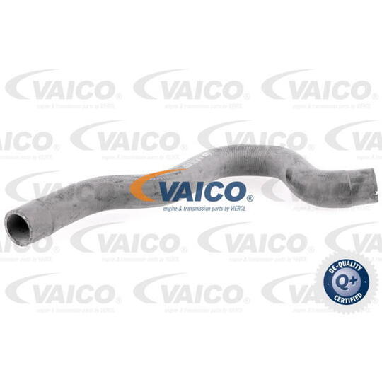 V40-1994 - Radiator Hose 