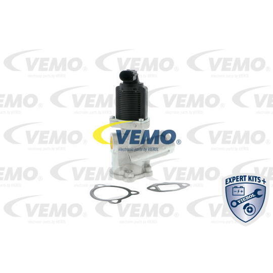 V40-63-0016 - EGR Valve 