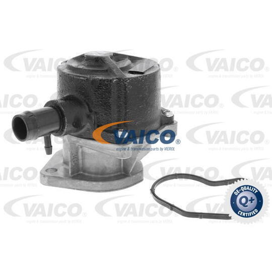 V46-0240 - Vacuum Pump, brake system 
