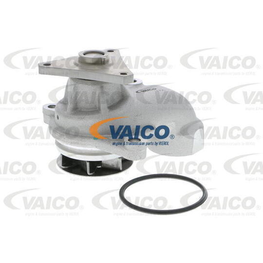 V53-50006 - Water pump 