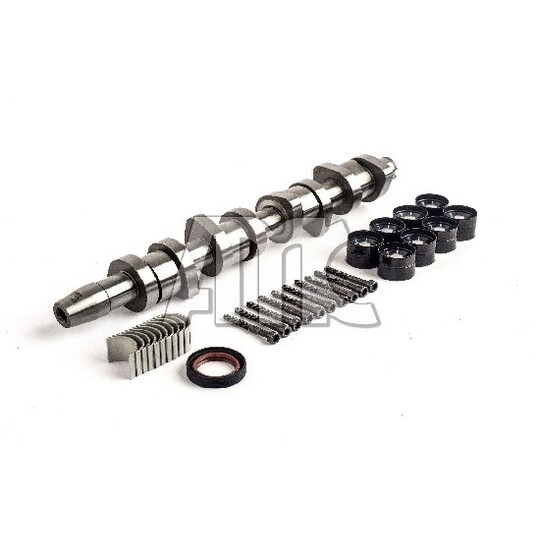 666861K - Camshaft Kit 