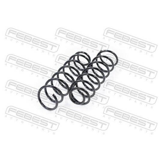 1708-008R-KIT - Suspension Kit, coil springs 