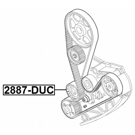 2890-DUC - Tensioner Pulley, timing belt 