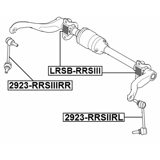 2923-RRSIIIRR - Tanko, kallistuksenvaimennin 