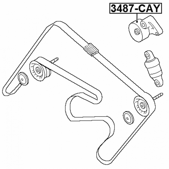 3487-CAY - Tensioner Pulley, v-ribbed belt 