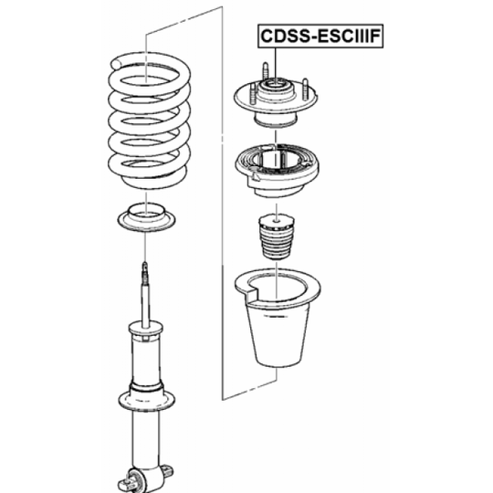 CDSS-ESCIIIF - Kinnitus, amordid 