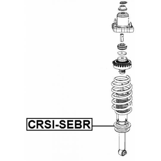 CRSI-SEBR - Spring Cap 