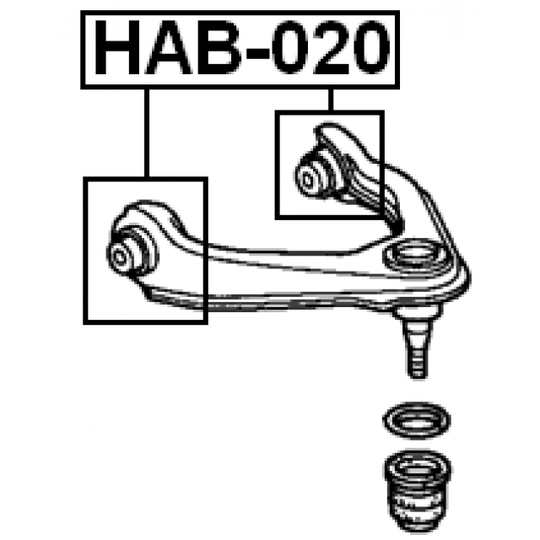 HAB-020 - Tukivarren hela 