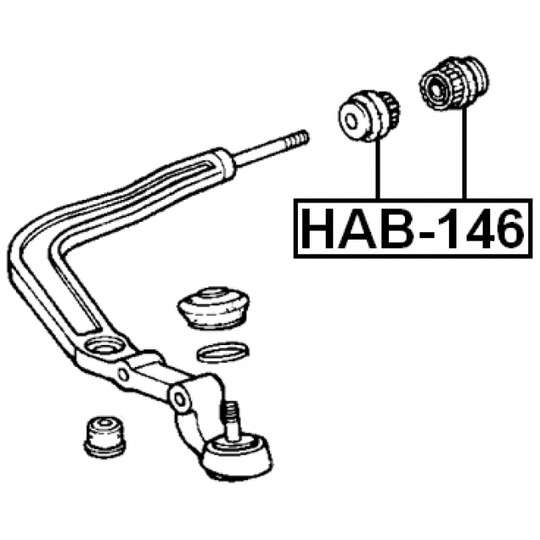 HAB-146 - Tukivarren hela 