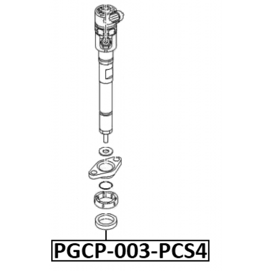 PGCP-003-PCS4 - Rõngastihend, sissepritseklapp 