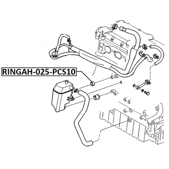 RINGAH-025-PCS10 - O-Ring Repair Set 