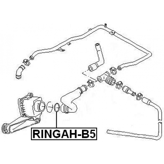 RINGAH-B5 - O-Ring Repair Set 