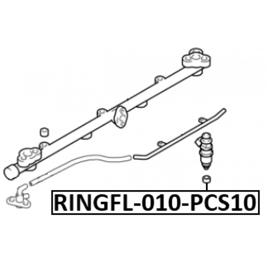 RINGFL-010-PCS10 - Seal Ring, injector 