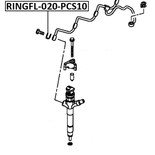 RINGFL-020-PCS10 - Seal Ring, injector 