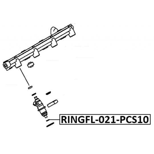 RINGFL-021-PCS10 - Seal Ring, injector 