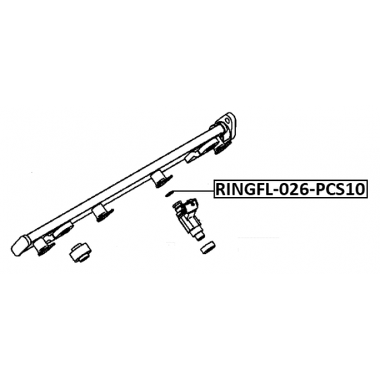 RINGFL-026-PCS10 - Seal Ring, injector 