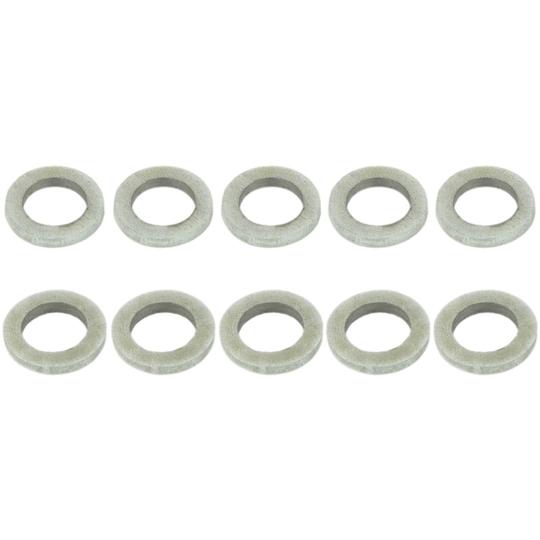 RINGFL-036-PCS10 - Seal Ring, injector 