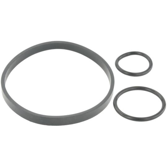 RINGOL-039-KIT - Seal, oil filter 