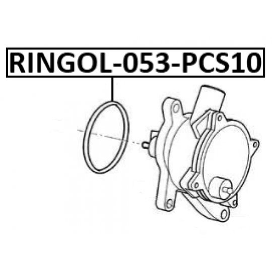 RINGOL-053-PCS10 - Gasket, vacuum pump 