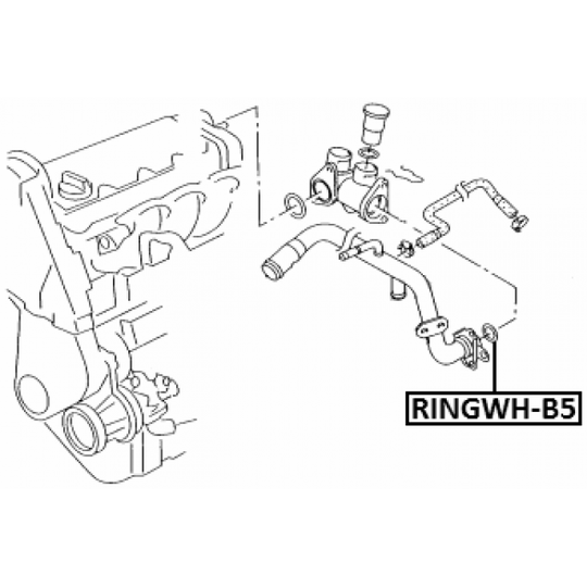 RINGWH-B5 - Gasket, coolant flange 