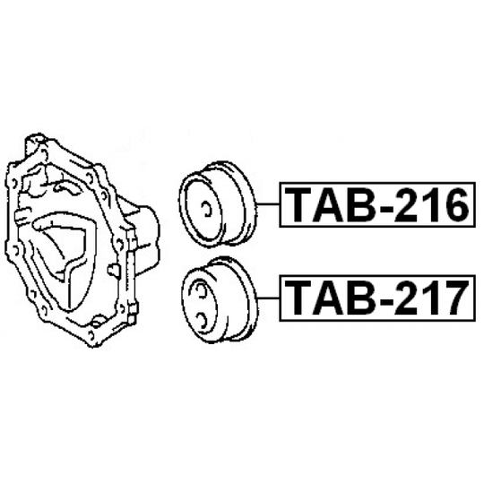 TAB-217 - Mounting, differential 