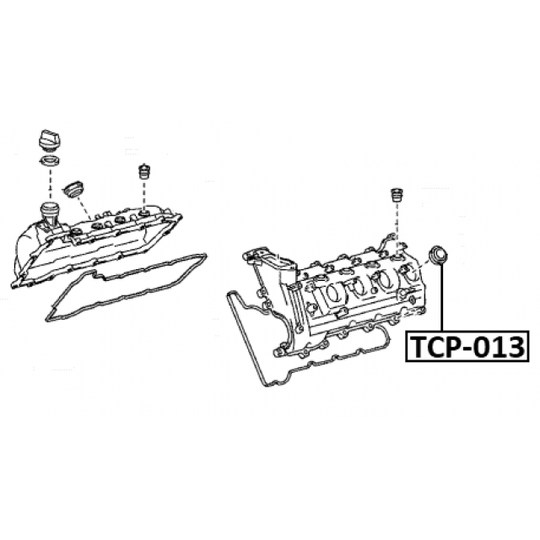 TCP-013 - Seal Ring, nozzle holder 