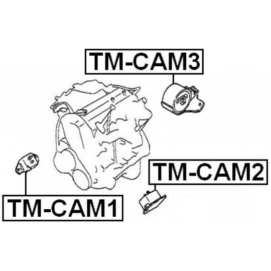 TM-CAM3 - Engine Mounting 