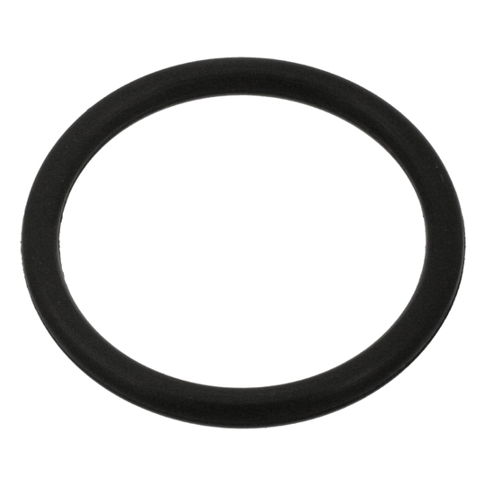 100999 - Seal Ring 