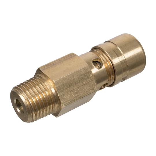 107491 - Pressure Relief Valve 