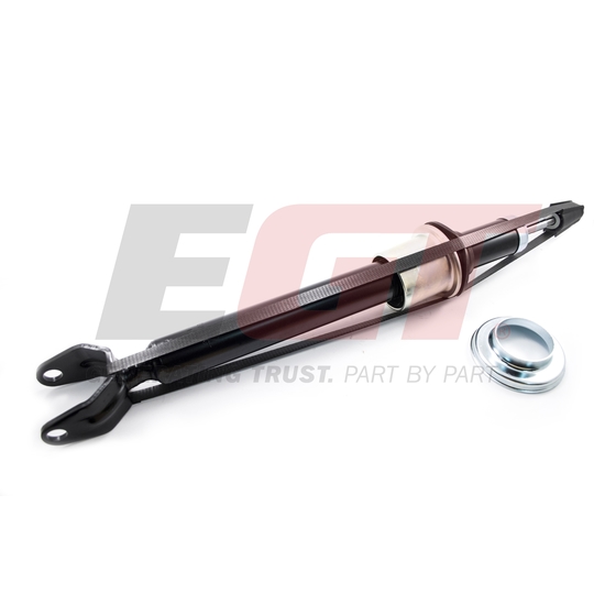 383722EGT - Shock Absorber 