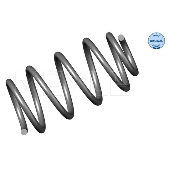 100 639 0037 - Coil Spring 