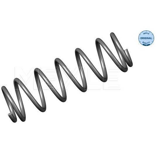 100 739 0000 - Coil Spring 