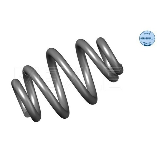 100 739 0001 - Coil Spring 