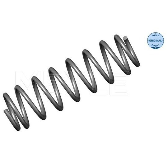 100 739 0019 - Coil Spring 