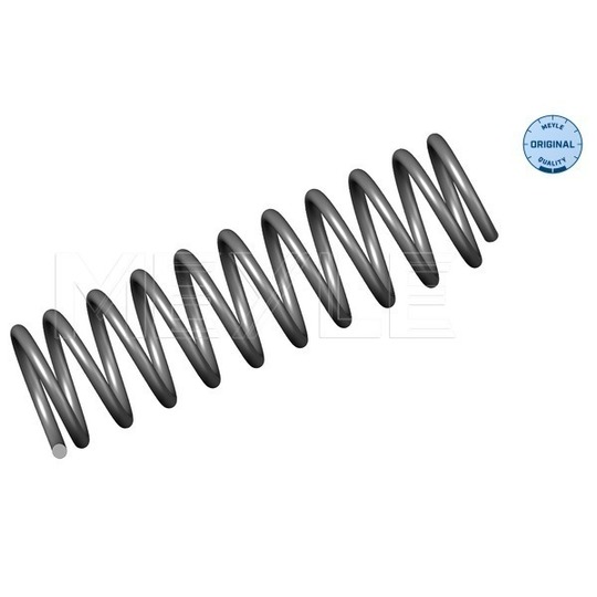 100 739 0026 - Coil Spring 