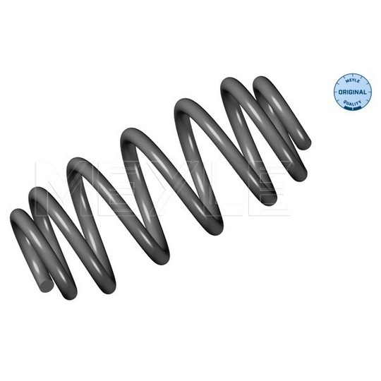 100 739 0040 - Coil Spring 