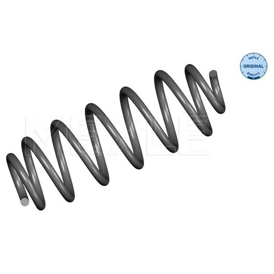 100 739 0044 - Coil Spring 