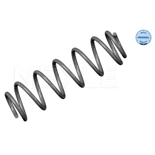 100 739 0049 - Coil Spring 