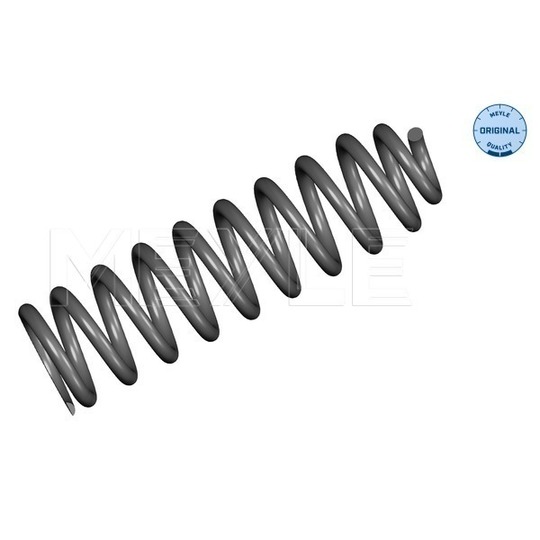 31-14 639 0000 - Coil Spring 