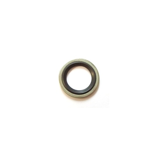 545.750 - Seal Ring 