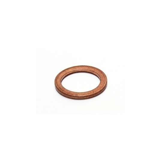 119.601 - Seal Ring 