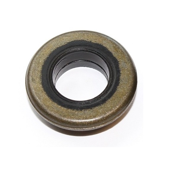 445.570 - Seal Ring, cylinder head cover bolt 