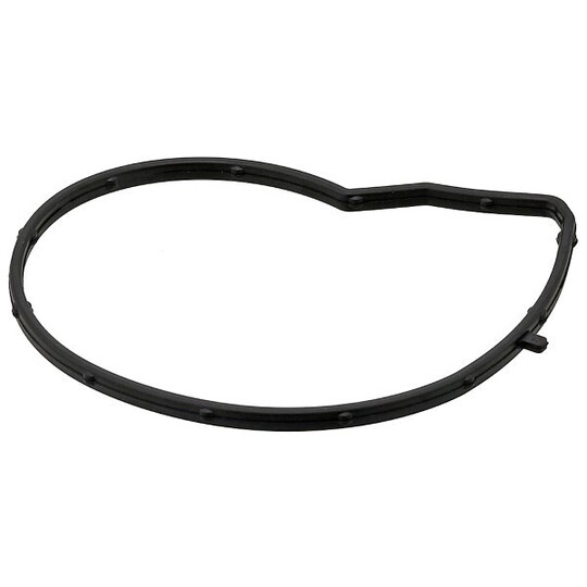 387.590 - Gasket, water pump 